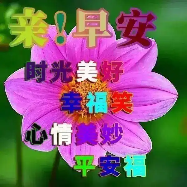  早晨好问候语动态图片表情,漂亮早上好问候祝福语动表情图片