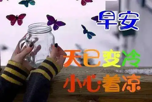7张免打字聊天的早上好问候动画表情图片唯美冬日早安问候祝福动态图片表情精选  7张免打字聊天的早上好问候动画表情图片唯美冬日早安问候祝福动态图片表情精选