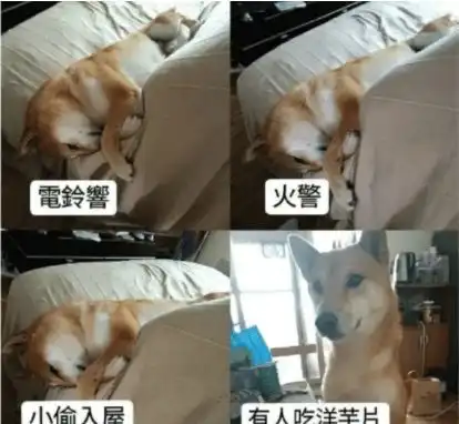  开心一刻初中和同学在网吧玩劲舞团,我爸网吧抓住我了,给了我一耳光
