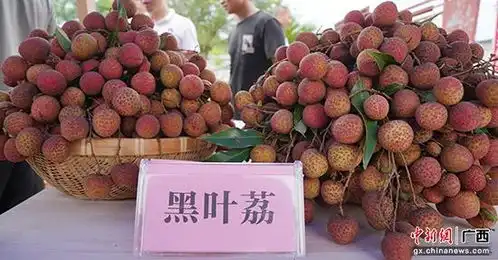 红荔牌红米酒搞笑图片于