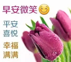 每一个早晨,都是洒脱的理由,向你道一声早晨好  每一个早晨,都是洒脱的理由,向你道一声早晨好