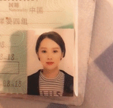  竟然被一只猫吸引了
