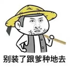 搞笑吃瓜子动画图片毛嗑