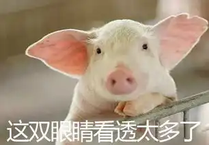  纪梵希小猪皮,娇兰幻彩流星锤...直男眼中的化妆品世界真是千奇百怪爆笑慎入
