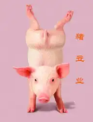  猪立业好有型哟