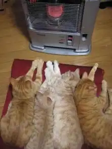 趣图联播新鲜搞笑图片志  趣图联播新鲜搞笑图片志