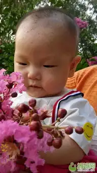 宝宝有趣的图片生日2013年11月宝宝圈  宝宝有趣的图片生日2013年11月宝宝圈