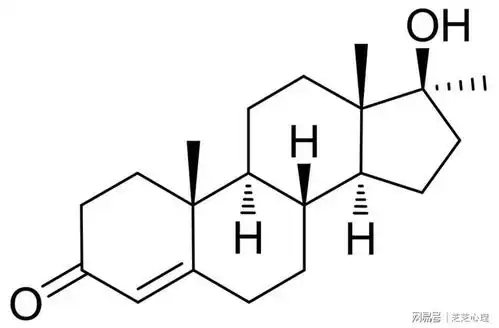  心理学从音乐的喜好上,就能看穿男性是否专一