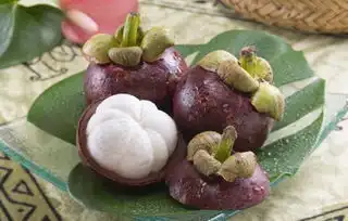  山竹有蚂蚁怎么办山竹为什么会有蚂蚁