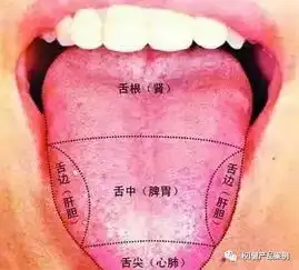  火在肺里咳嗽火在肝里失眠火在胃里口臭火在心里口舌生疮....长期饮用权l健麦芽精,改善酸性体质,拒绝上火