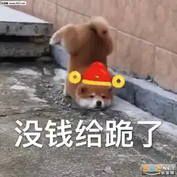  跪求压岁钱请给压岁钱表情包给您拜年啦给您拜回去表情包图片下载乐游网游戏下载