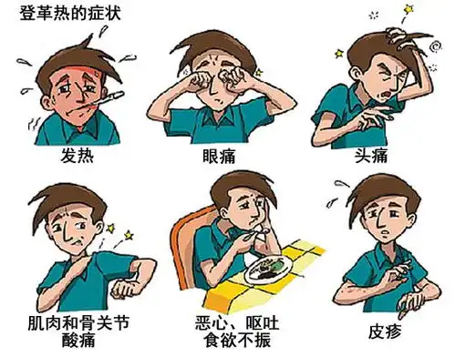  扩散无特效药,可预防,阳江被列入重点防控地区