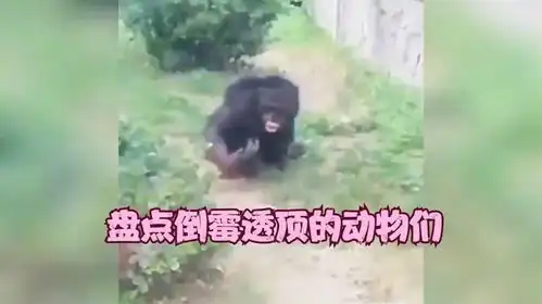  盘点倒霉透顶的动物们,这倒霉程度相当离谱