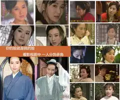  刘诗诗林心如孙俪赵雅芝影视剧一人饰演多角