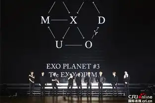  韩国超级组合exo香港演唱会盛况空前组图