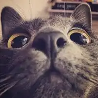 萌娃头像男生搞怪可爱微信头像图片大全  萌娃头像男生搞怪可爱微信头像图片大全