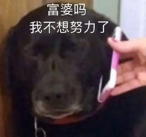  你看我还有机会吗这个沙雕可爱搞笑的文案可还行