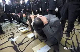  方舟精英迅猛龙购彩大厅