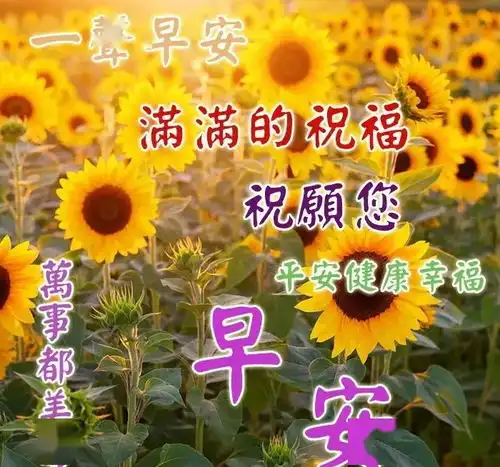  星期一清晨第一个问候送给你早安祝福语加图片