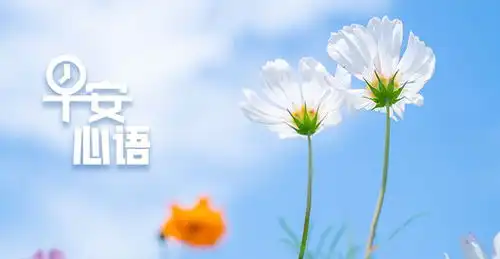  早安,阳江广湛高铁阳江北站全面开工建设