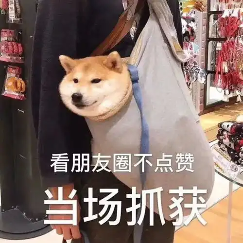  儿女情长不影响你们行走江湖吗搞怪背景图不香