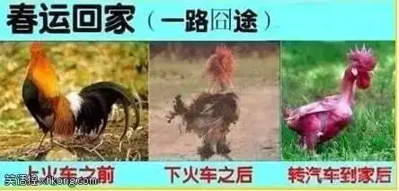 幽默搞笑周末愉快大图片
