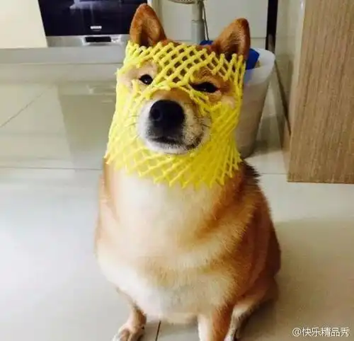  蛋友贴图专版
