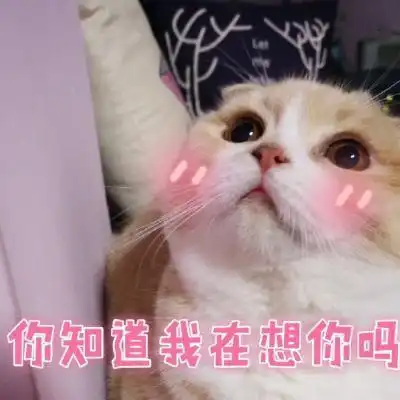  十条段子你家的猪,一顿能有三个菜吃