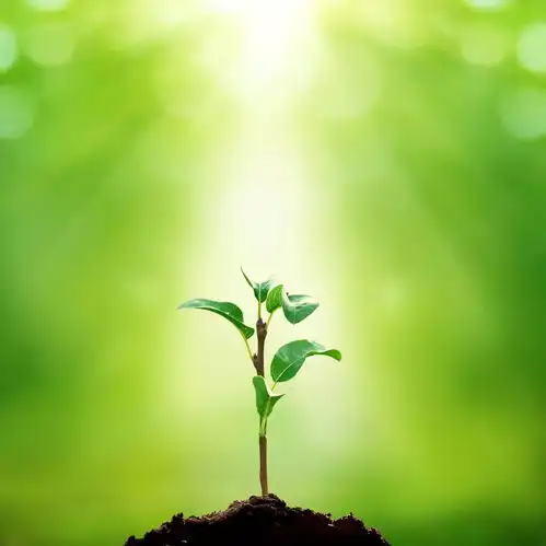  飞越4000公里的救援,让19名阿克苏儿童用微笑迎接新年