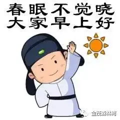 清晨问候图片搞笑考研调