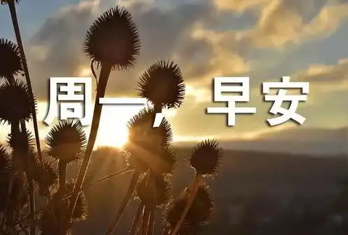  分享图片周一早安
