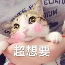  2018猫咪可爱带字搞笑头像qq群头像我从一个小可爱长成大可爱