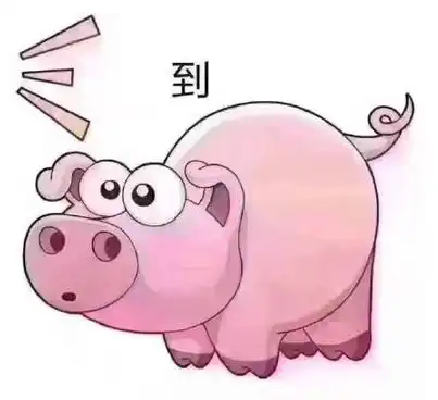 套路表情包一套猪吃屎