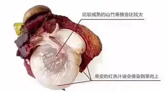  9.9元斤的泰国4a级山竹,卖疯啦吃山竹就要吃泰国的