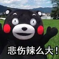  悲伤辣么大图片高清搞笑我的悲伤辣么大带字的图片