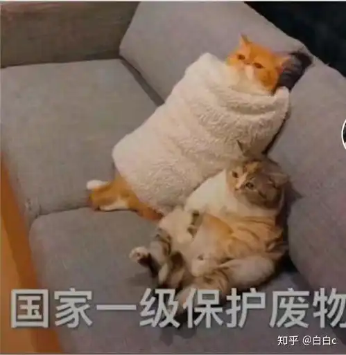  其实你真的是那么不可或缺
