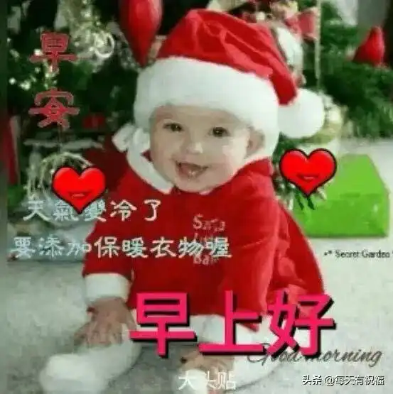 清晨问候图片搞笑可爱