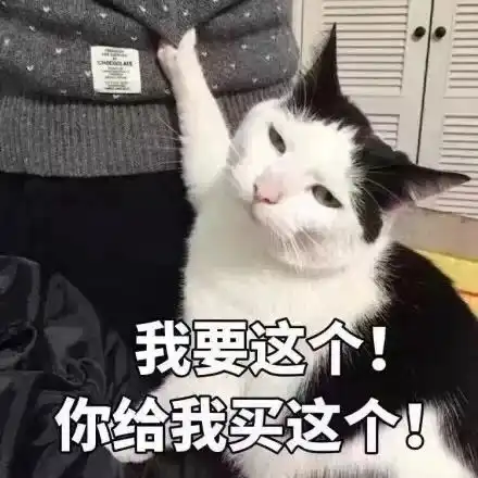  在最热猫咪表情包大合集速收