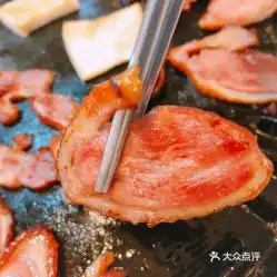  鸭村的碳烤鸭肉好不好吃用户评价口味怎么样沈阳美食碳烤鸭肉实拍图片大众点评