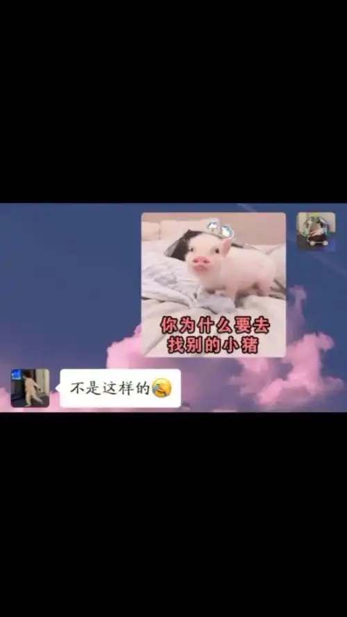 套路表情包一套猪文字版