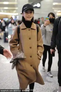 搞笑表情包动态图片飞机