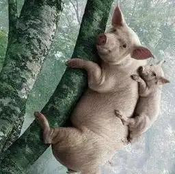 神吐槽没房别慌来住集装箱  神吐槽没房别慌来住集装箱