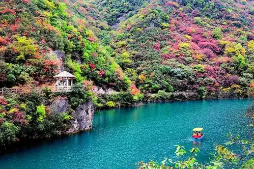  陕西春游去哪里好周边赏花目的地大推荐