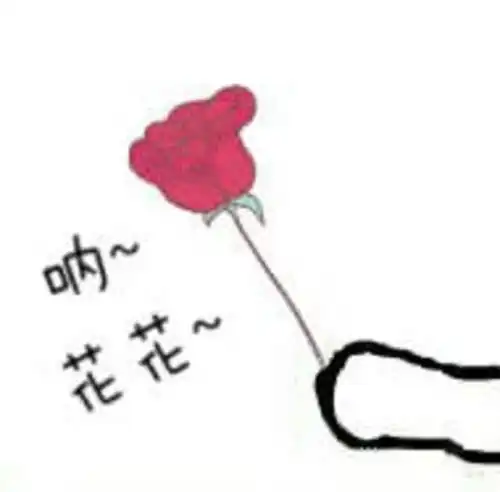  自考汉语言文学专科考试科目有哪些