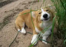  抓狂了啊靖边相册