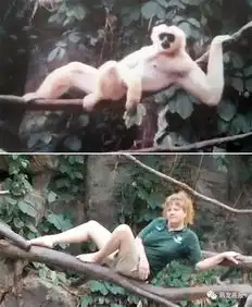  美国明尼苏达动物园的工作人员模仿动物拍摄了一系列爆笑照片