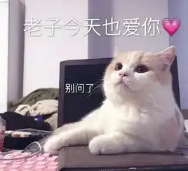  可爱撒娇的表情包,我不喜欢这个世界,我只喜欢你