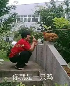  搞笑阿姨表情包合集你这是在跟我容儿作对
