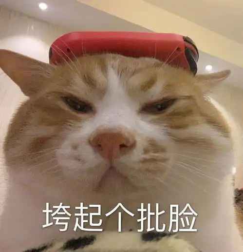 说唱听我的第二期吐槽剧透 说唱听我的第二期吐槽剧透