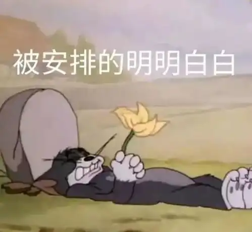  表情sir全家族对你很失望